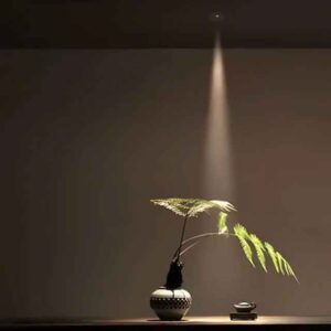 Den-LED-am-tran-spotlight-chieu-diem-roi-goc-chieu-hep-5W-anh2