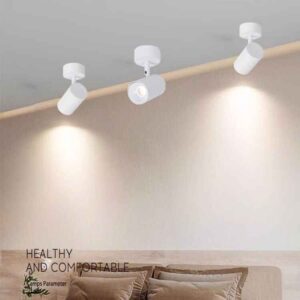 Den-roi-spotlight-chieu-diem-7W-D55-anh4