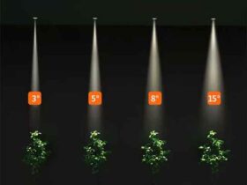 Den-LED-am-tran-spotlight-chieu-diem-roi-goc-chieu-hep-5W-anh1 Den-LED-am-tran-spotlight-chieu-diem-roi-goc-chieu-hep-5W-anh1