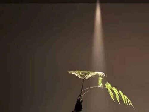 Den-LED-am-tran-spotlight-chieu-diem-roi-goc-chieu-hep-5W-anh2 Den-LED-am-tran-spotlight-chieu-diem-roi-goc-chieu-hep-5W-anh2